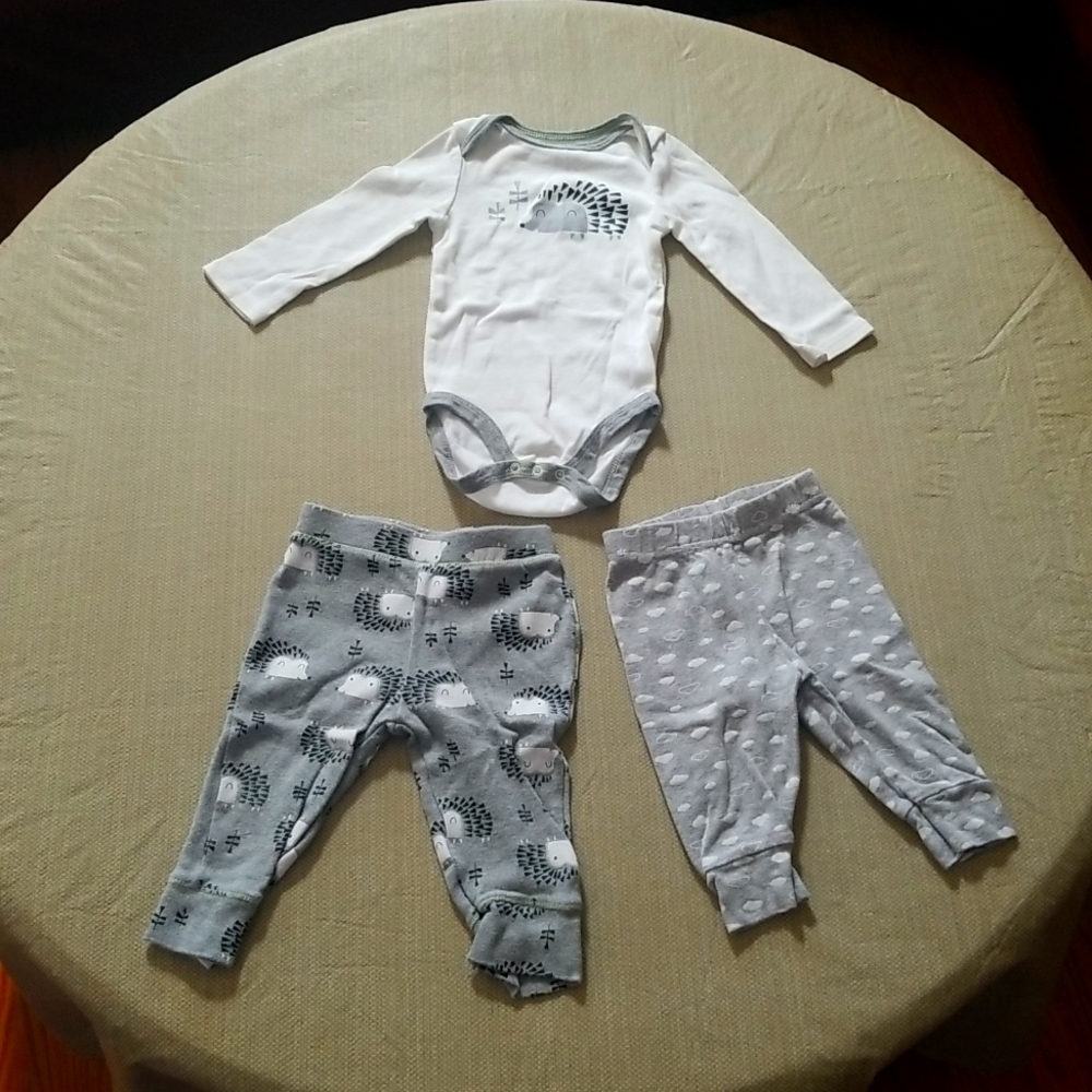 ❣5 for $25 Sale❣ Matching Hedgehog Outfit